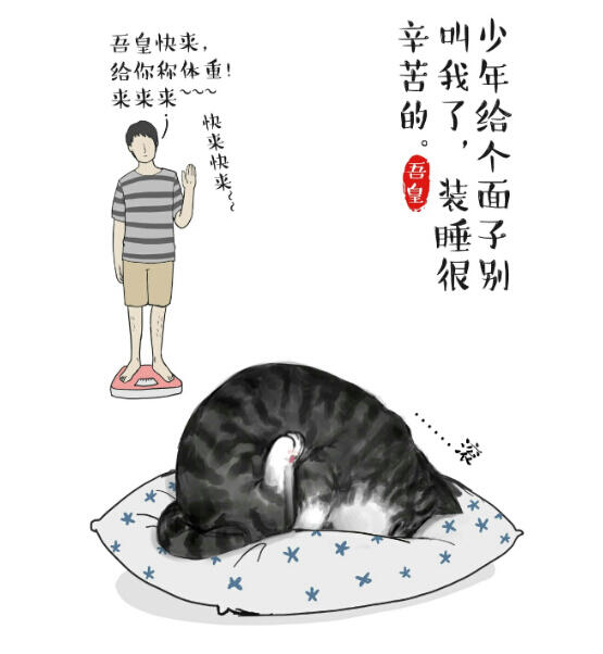 看白茶如何和中国风插画碰撞出火花