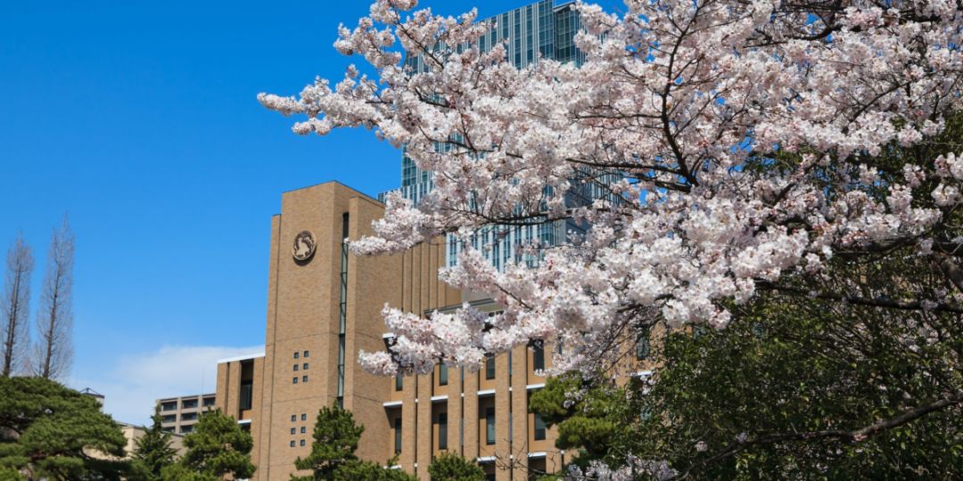 高中恳求日本大学要求及所需资料清单