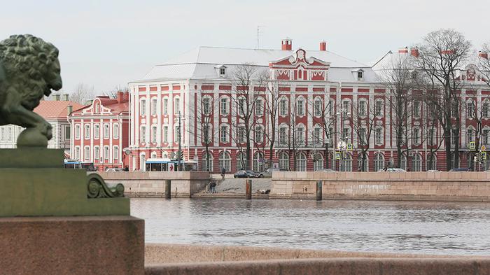 圣彼得堡国立大学申请