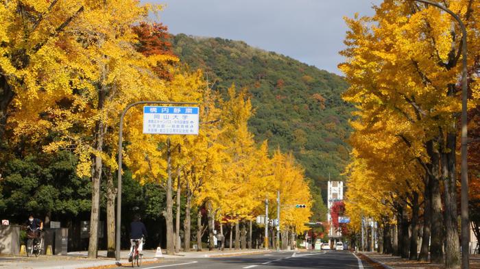 岡山大學(xué)申請(qǐng)