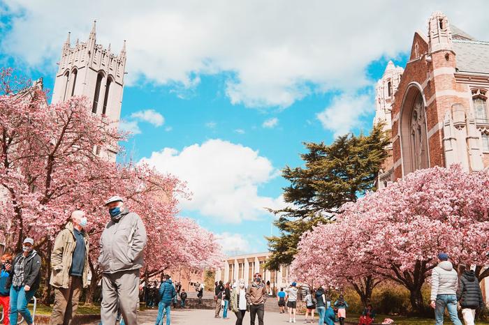 华盛顿大学研究生留学条件是什么